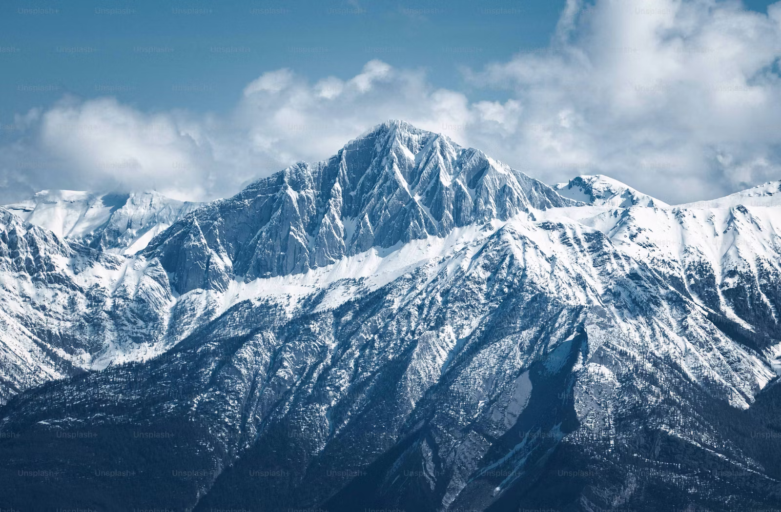 Mountain landscape with trees