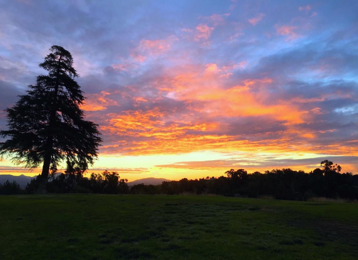 Sunrise Landscape